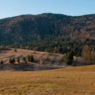 Od jasnice do kolpe