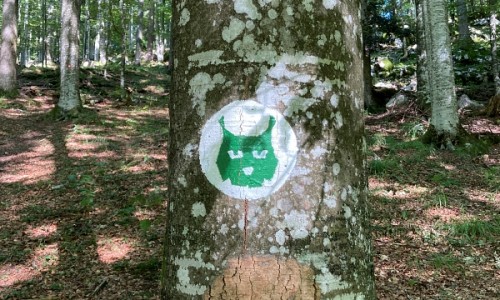 The Lynx Nature Trail