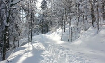Short Kočevje mountain trail