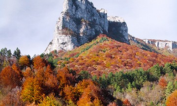 Osilnica- Bezgarska planina