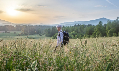 narava jost nea