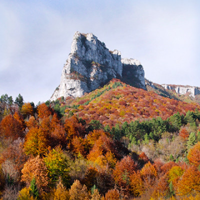 osilnica bezgarska planina thumbnail2