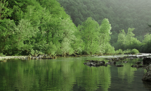 Kocevsko Kolpa 1